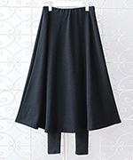 ��ǰ�̹���